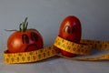 healthy lifestyle and diet. for all. Comic picture in which two tomatoes Thick and thin are measured by a centimeter Royalty Free Stock Photo