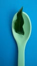 Spoon with leaf. Natural ingredients. Healthy food concept.