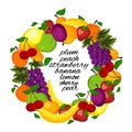 Healthy lifestyle-fruit circle