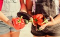 Healthy lifestyle. Grow organic crops. Community gardens and farms. Farmers hold peppers eggplants and cucumbers. Farmer Royalty Free Stock Photo