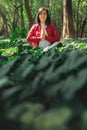 Healthy lifestyle for women practicing meditation and yoga in the forest. Young woman practicing yoga outdoors. Meditation concept Royalty Free Stock Photo