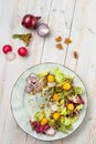 Healthy light salad with fried mozzarella cheese, fresh vegetables and crispy mix salad with lemon honey dressing and cranberry Royalty Free Stock Photo