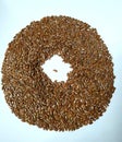 Healthy Linen seeds , Flax seed