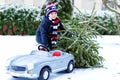 Healthy little smiling kid boy driving toy car with Christmas tree. Happy child in winter fashion clothes bringing hewed Royalty Free Stock Photo