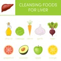 Healthy liver concept