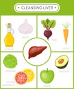 Healthy liver concept