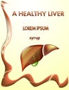 HEALTHY LIVER AND GALLBLADDER