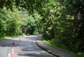 Healthy Living - Special Road Demarcation, Cone Barrier for Bike Lane in Stanley Park, Vancouver. The road in the forest. Walks in