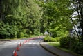 Healthy Living - Special Road Demarcation, Cone Barrier for Bike Lane in Stanley Park, Vancouver. The road in the forest. Walks in