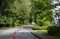 Healthy Living - Special Road Demarcation, Cone Barrier for Bike Lane in Stanley Park, Vancouver. The road in the forest. Walks in