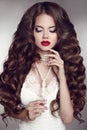 Healthy long hair. Girl makeup. Beautiful Brunette. Red Lips. Pe Royalty Free Stock Photo