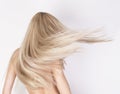 Healthy long platinum blonde hair in motion. Royalty Free Stock Photo