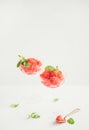 Strawberry and champaigne summer granita with mint in champagne glasses Royalty Free Stock Photo