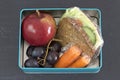 Healthy lunch box, cheese sandwich, apple, carrots and grapes.