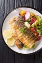 Healthy lunch grilled sea bass fillet with lemon and fresh vegetable salad close-up on the table. Vertical top view