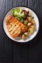 Healthy lunch grilled swordfish fillet with fried potatoes and fresh salad close-up on a plate. Vertical top view