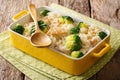 Healthy lunch: rice with broccoli, chicken, garlic and cheese cl