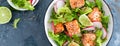 Healthy lunch salad with baked salmon fish, fresh radish, lettuce and lime. Banner Royalty Free Stock Photo