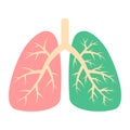 Healthy lung and diseased human lung. Respiratory system. Patient with pneumonia, asthma, lung cancer. Viruses and