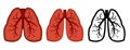 Healthy lungs, bronchus and human trachea. Whole. Set. Color image and monochrome icon. A series of illustrations on the internal