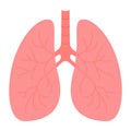 Healthy lungs not damaged by smoking