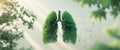 Healthy lungs represented by lush green trees. Royalty Free Stock Photo