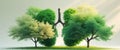 Healthy lungs represented by lush green trees. Royalty Free Stock Photo