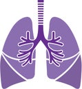 Healthy Lungs Royalty Free Stock Photo