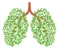 Healthy lungs Royalty Free Stock Photo