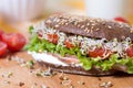 A healthy meal of whole wheat dark brown rye bread, curd cream cheese, radish, alfalfa sprouts, ham, cherry tomatoes salad Royalty Free Stock Photo