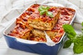 Healthy meatless lasagna on a baking dish Royalty Free Stock Photo