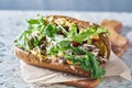 Healthy meatless vegan sandwich