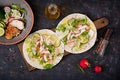 Healthy mexican tacos with baked chicken breast, cucumber, radish and lettuce Royalty Free Stock Photo