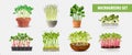 Healthy Microgreens Transparent Set Royalty Free Stock Photo