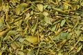 Healthy mistletoe. Background of dry Viscum album plants. Herbal medicine Royalty Free Stock Photo