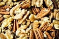 Healthy mixed nuts - walnut and pecan Royalty Free Stock Photo