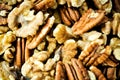 Healthy mixed nuts - walnut and pecan Royalty Free Stock Photo