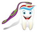 Healthy molar tooth with toothbrush and toothpast