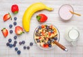 Healthy Muesli Breakfast with fresh organic Fruits and Yogurt Royalty Free Stock Photo