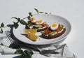Healthy natural food. Sandwiches with whole grain bread, cheese, fish and an egg in a white plate on a napkin on a white wooden