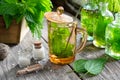 Healthy nettle tea, bottles of infusion, nettle plants and bottle of homeopathic globules.