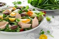 Healthy Nicoise salad with salmon, colourful sweet cherry tomatoes, olives, green beans, cucumber ribbons, soft boiled Royalty Free Stock Photo
