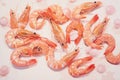 Group pink macro background white fish king healthy close tiger red tail orange market