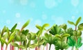 Healthy Nutrition Microgreens Background