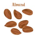 Healthy nutrition product. Dried almond whole nuts.