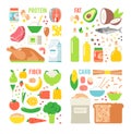Healthy nutrition, proteins fats carbohydrates balanced diet, cooking, culinary and food concept vector. Royalty Free Stock Photo