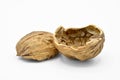 Healthy and nutritious beige brown walnut grains. Crushed walnut shells.