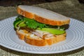 Healthy nutritious gluten free sandwich with turkey and swiss cheese, fresh avocado, kale and onion. Royalty Free Stock Photo