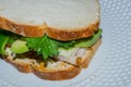 Healthy nutritious gluten free sandwich with turkey and swiss cheese, fresh avocado, kale and onion. Royalty Free Stock Photo