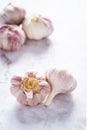 Healthy and nutritious white spicy garlic fruit Royalty Free Stock Photo